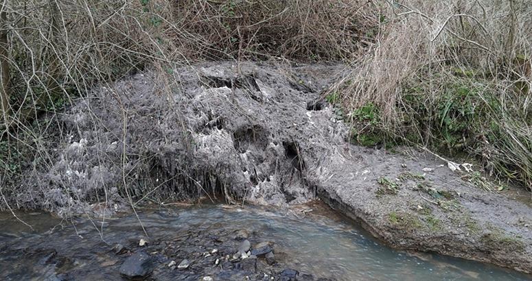 sewage related debris on a river bank